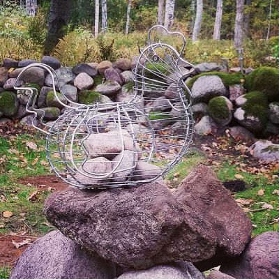 Stenfågel
Det är gott om sten och nu förstår jag varför
Keywords: hjälmsätter