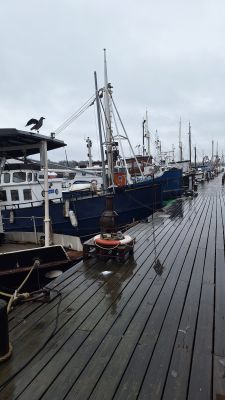 Skeppsholmen
I väntan på våren
