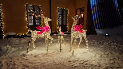 Hagaparken julen 2023
