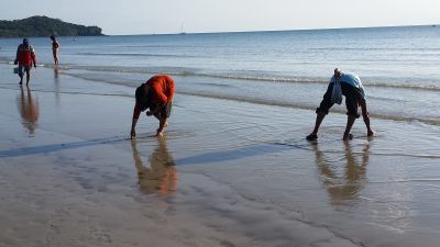 2017 Krabi, Thailand
Picking shells
