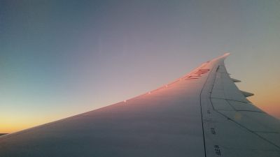 2018 Goa, Indien
Flight
