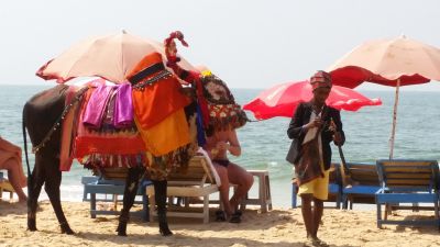 2018 Goa, Indien
on the beach
