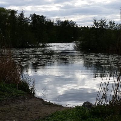 2015-05-14 Speglingar #råstasjön #råsta
