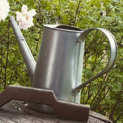 2015-06-30 Vattenkanna
