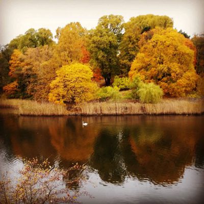 2016-10-19 Höst i Haga
